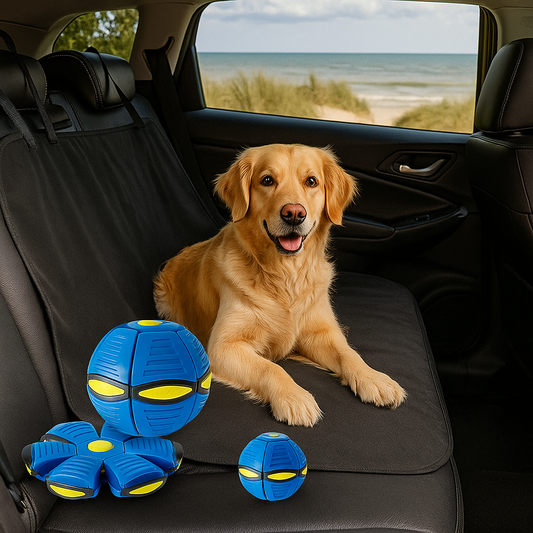 🐶 PACK Mascota Activa: FUNDA IMPERMEABLE COCHE 🚗 + PELOTA INTERACTIVA