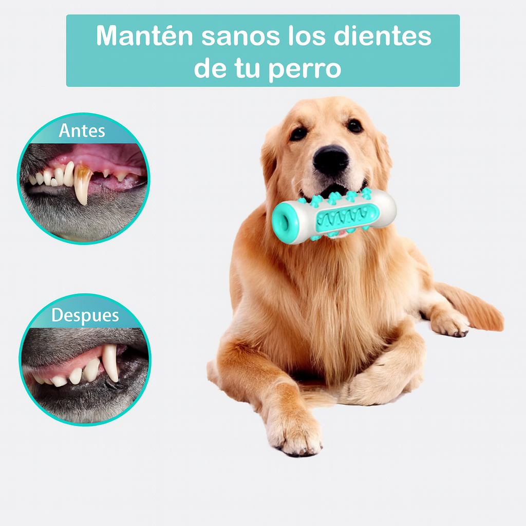 🐶 PACK MASCOTA 3 EN 1 🛏💨🦴