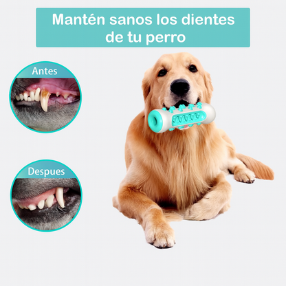 🐶 PACK MASCOTA 3 EN 1 🛏💨🦴