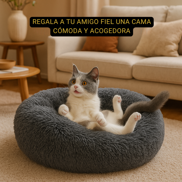 🐶 PACK MASCOTA 3 EN 1 🛏💨🦴