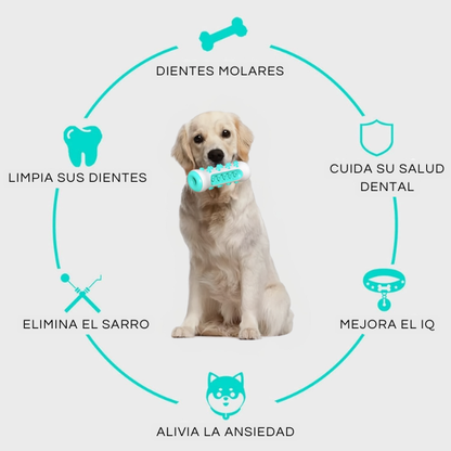 🐶 PACK MASCOTA 3 EN 1 🛏💨🦴