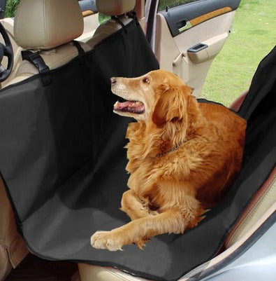 🐶 PACK Mascota Activa: FUNDA IMPERMEABLE COCHE 🚗 + PELOTA INTERACTIVA