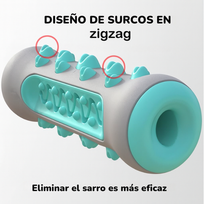 🐶 PACK MASCOTA 3 EN 1 🛏💨🦴