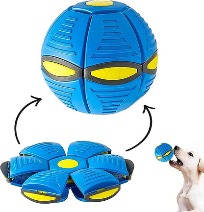 🐶 PACK Mascota Activa: FUNDA IMPERMEABLE COCHE 🚗 + PELOTA INTERACTIVA