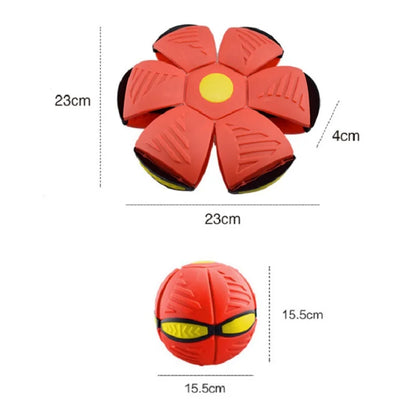🐶 PACK Mascota Activa: FUNDA IMPERMEABLE COCHE 🚗 + PELOTA INTERACTIVA